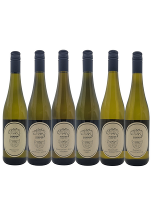 Widerstandspaket Ultra. 6 reinsortige PIWI-Weine