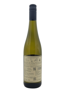 Bio Cabernet Blanc 2024 trocken
