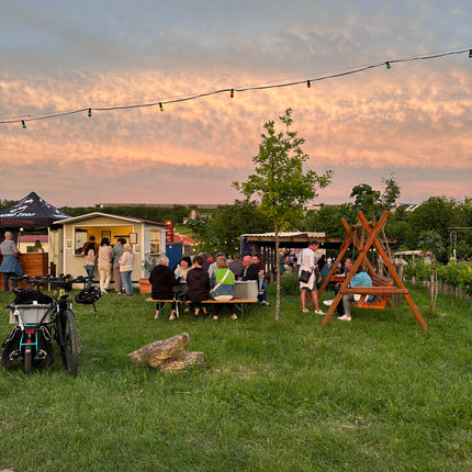 Kinderspielplatz, Entspannung und guter Wein auf meiner Weinwiese