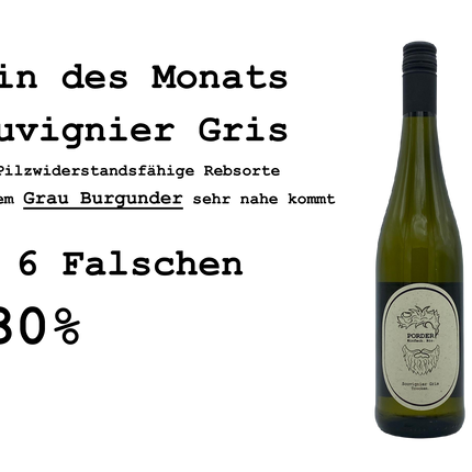 Bio Souvignier Gris 2023 trocken