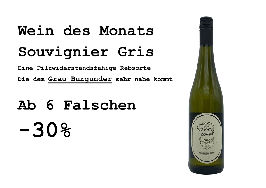 Bio Souvignier Gris 2023 trocken