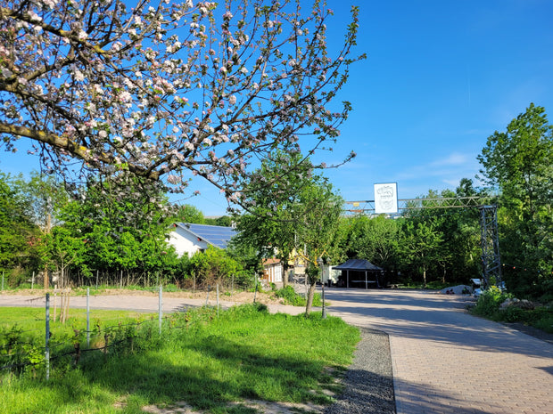 Camping auf dem Hof