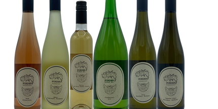 Collection image for: Bio Traubensäfte und Verjus